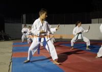 karate (49) (Αντιγραφή)